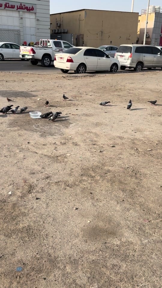 Post 1 by aslamwaziri143 on TikTok (video)