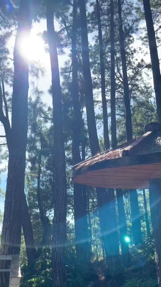Post 2 by Musafir Odyssey on TikTok (video)