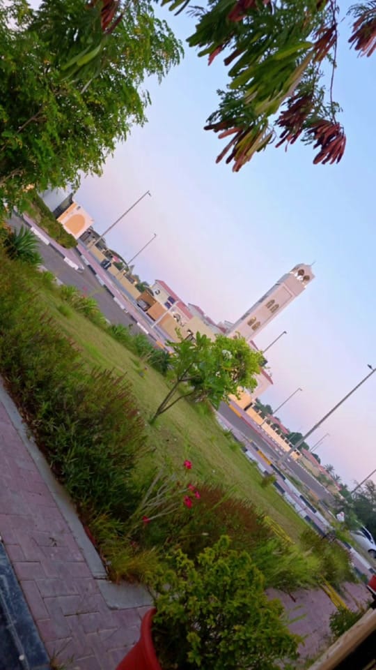 Post 10 by 🌺 MaZyOoOoNa 🌺 🇦🇪 on TikTok (video)