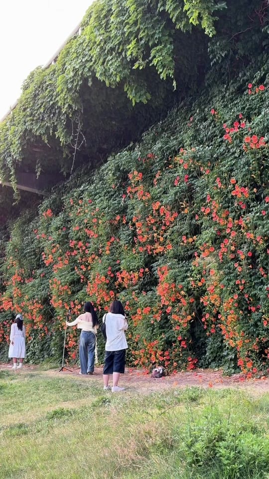 Post 1 by 🇰🇷seoul travel on TikTok (video)