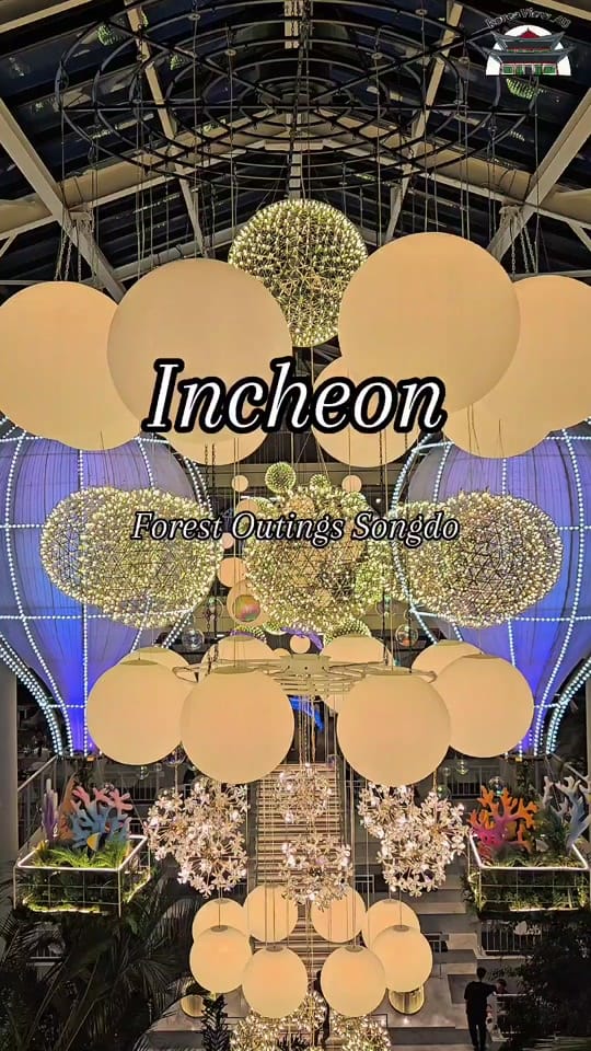 Post 4 by KoreaView_4U on TikTok (video)