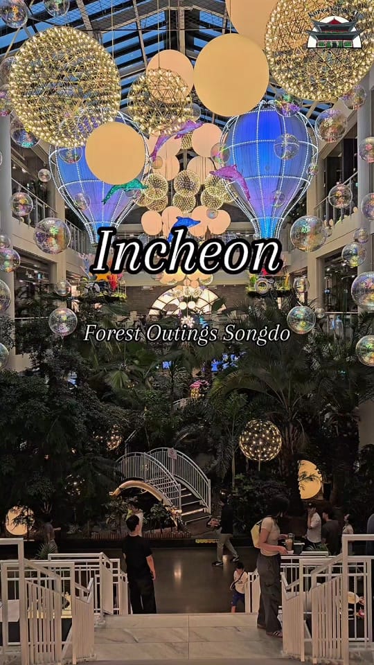 Post 6 by KoreaView_4U on TikTok (video)