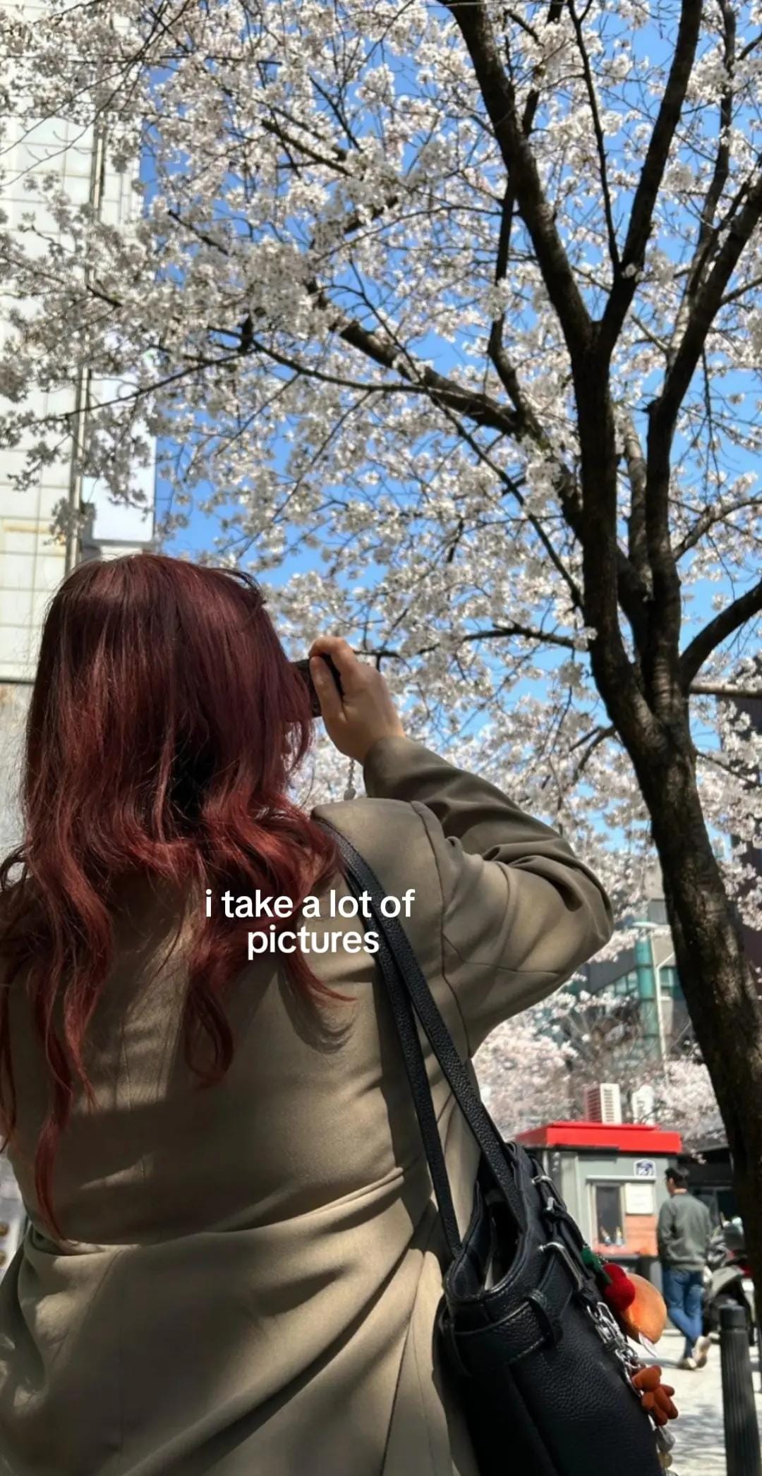Post 2 by Lou Ann | Seoul & Travels on TikTok (video)