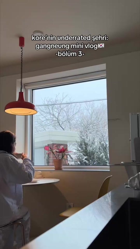 Post 5 by gizemzevall on TikTok (video)
