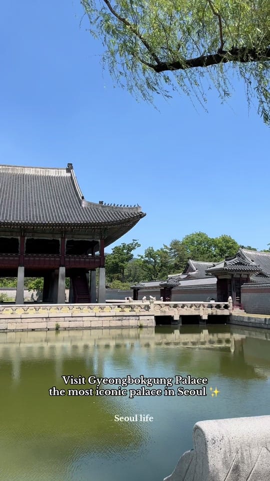 Post 5 by seoullife.d on TikTok (video)