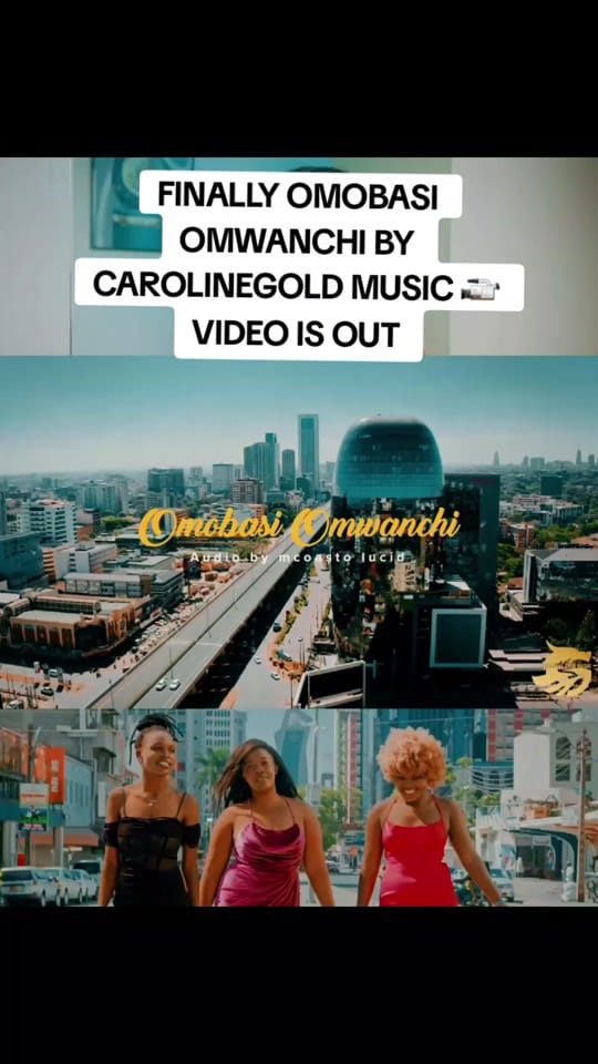 Post 9 by CAROLINEGOLDMUSIC HQ on TikTok (video)