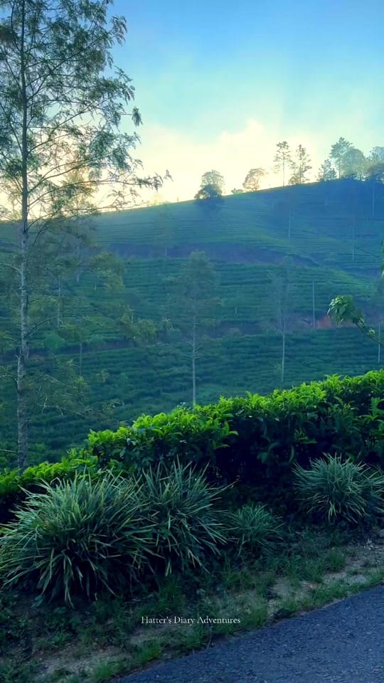 Post 1 by Pasan Sithija on TikTok (video)