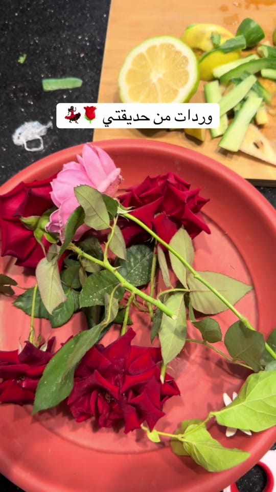 Post 2 by Miss fadwa on TikTok (video)
