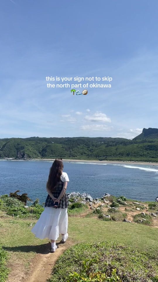 Post 4 by Akvilė | 🇯🇵🇱🇹🇰🇷 on TikTok (video)