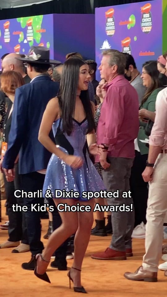 Post 8 by Hollywire on TikTok (video)