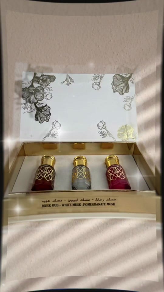 Post 10 by hamil.almusk.uae on TikTok (video)