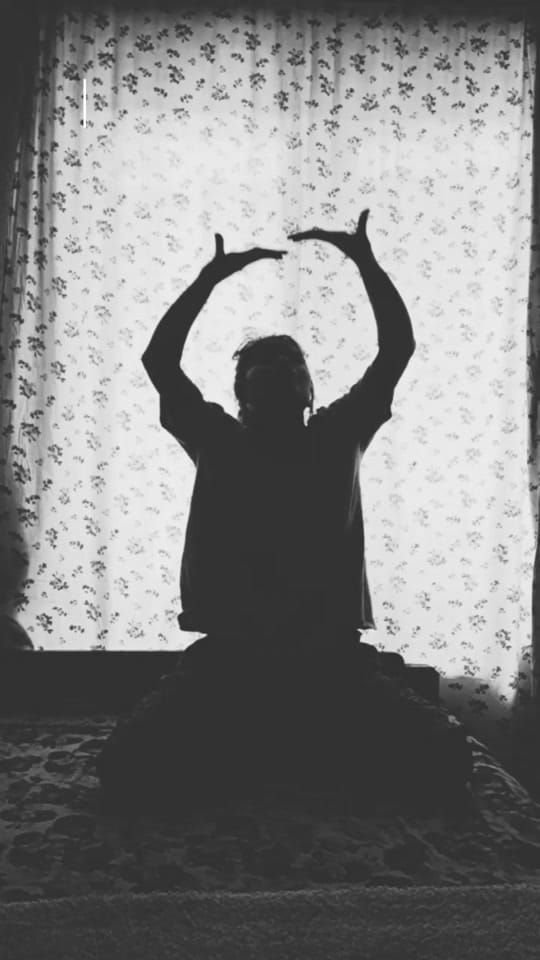 Post 4 by Shadow on TikTok (video)