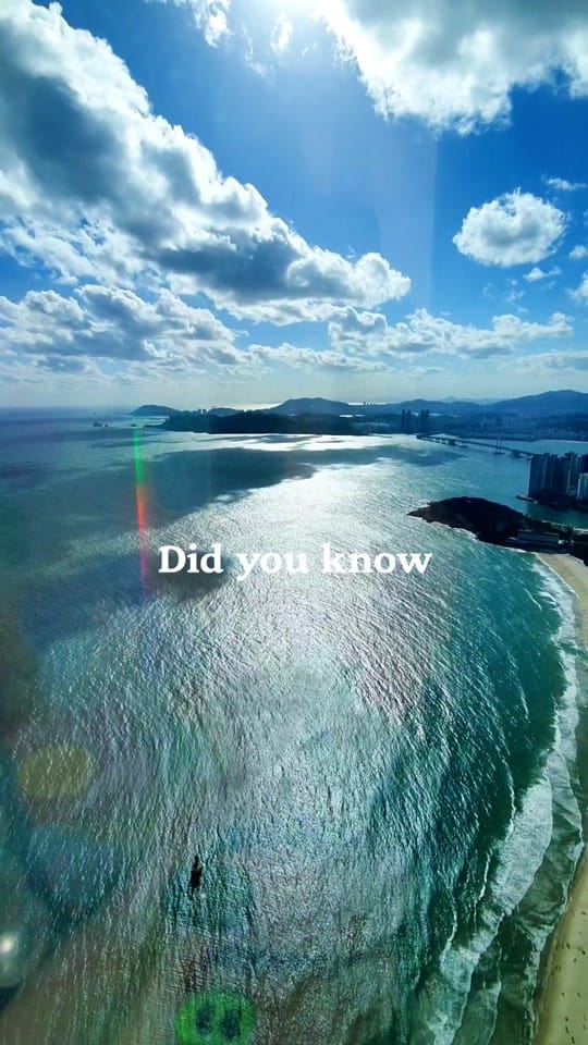 Post 1 by Korea travelers 🇰🇷 on TikTok (video)
