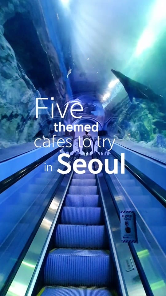 Post 10 by Korea travelers 🇰🇷 on TikTok (video)