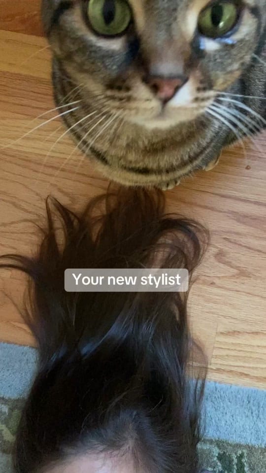 Post 1 by SamanthaGrantPhoto on TikTok (video)