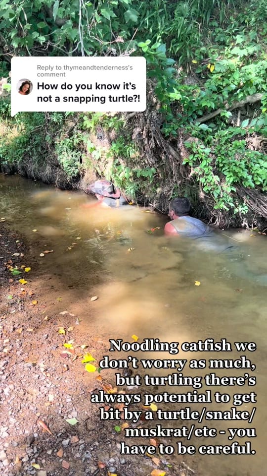 Post 8 by Allison Hunter Voges on TikTok (video)