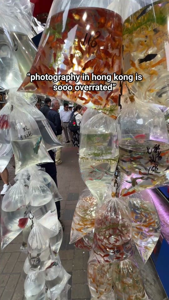 Post 4 by Herzawg Fujifilm Photographer on TikTok (video)