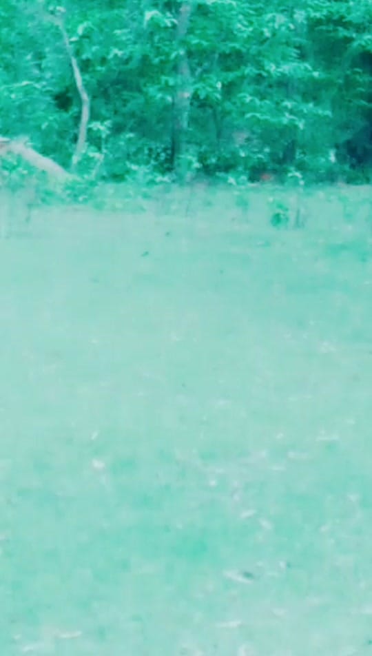 Post 7 by @SSsingh on TikTok (video)