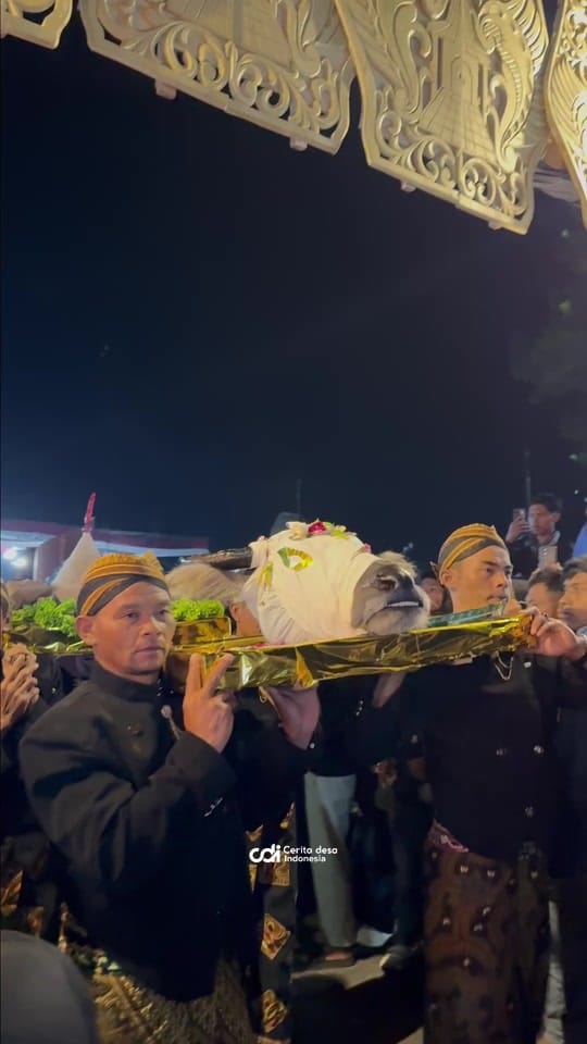 Post 2 by Cerita Desa Indonesia on TikTok (video)