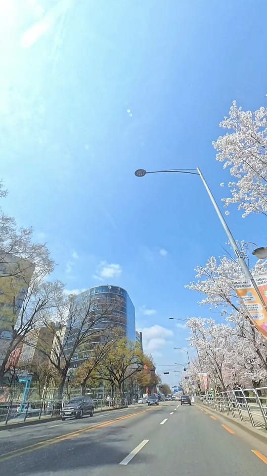 Post 1 by Metro Miles on TikTok (video)