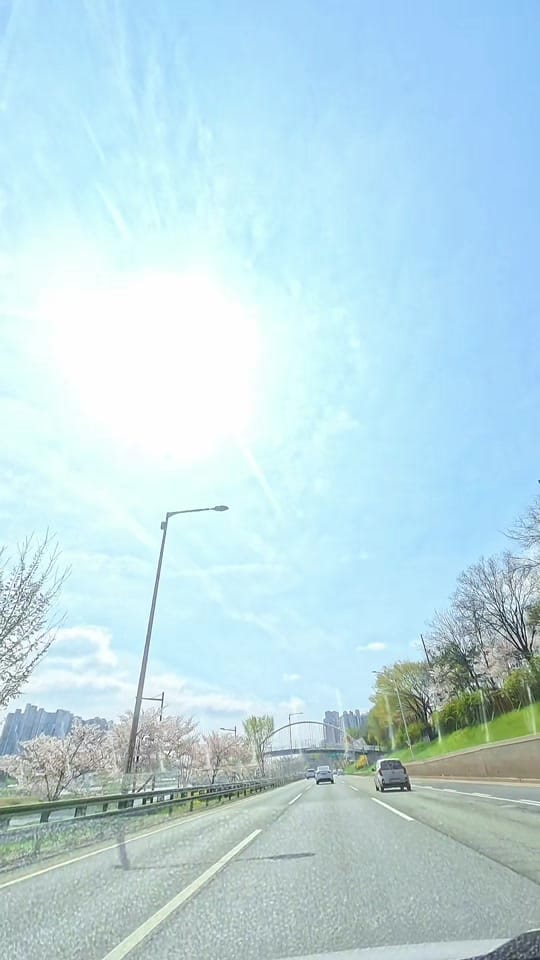 Post 3 by Metro Miles on TikTok (video)