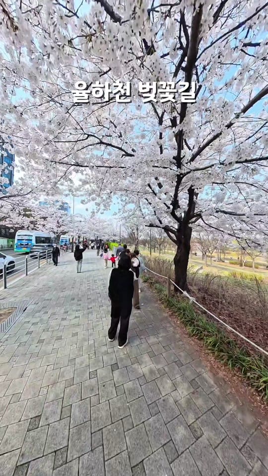 Post 4 by Metro Miles on TikTok (video)