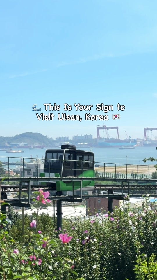 Post 6 by Chel✨ Solo Korea Travel✈️ on TikTok (video)