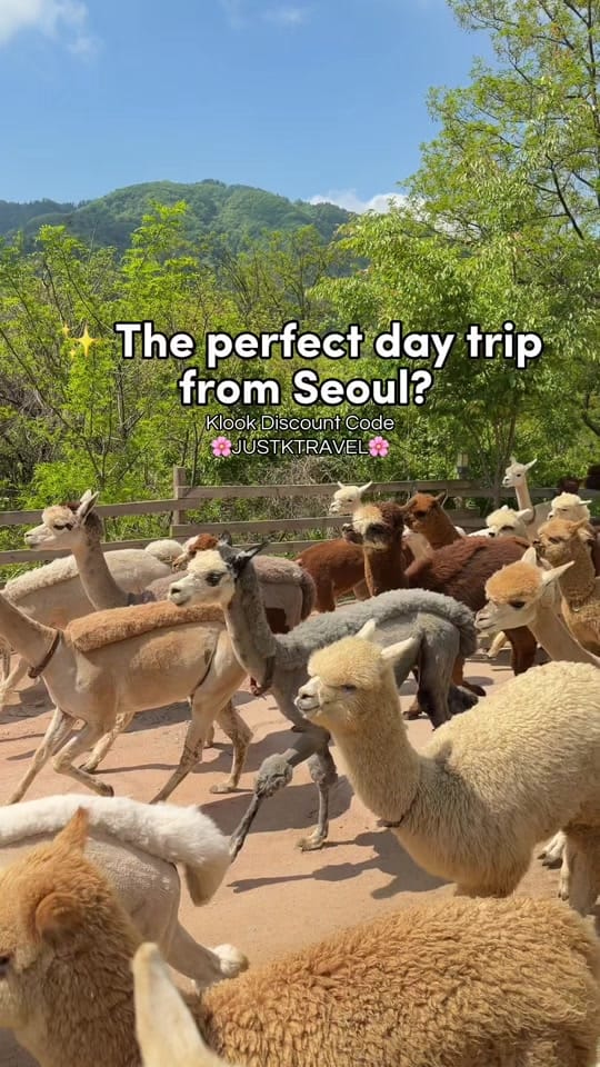 Post 3 by Chel✨ Solo Korea Travel✈️ on TikTok (video)