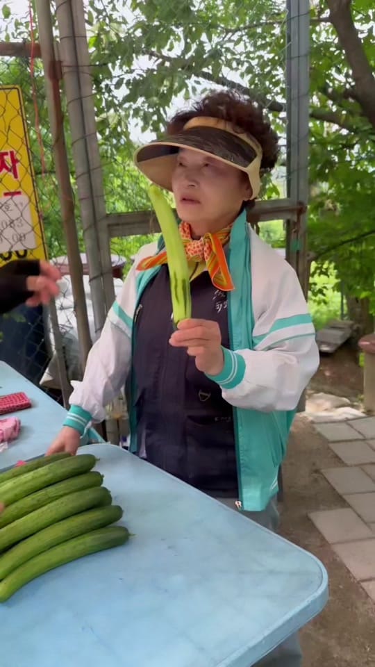 Post 3 by 💎ROOT💎 on TikTok (video)