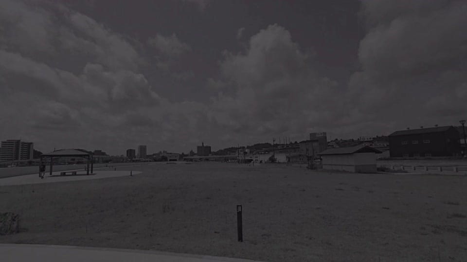Post 8 by TheSunriseOfJava🌿 on TikTok (video)