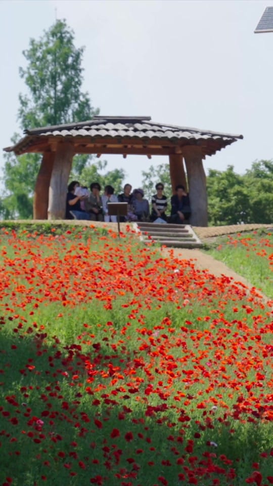 Post 3 by seoul_4k on TikTok (video)