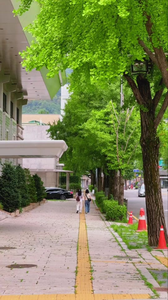 Post 5 by seoul_4k on TikTok (video)