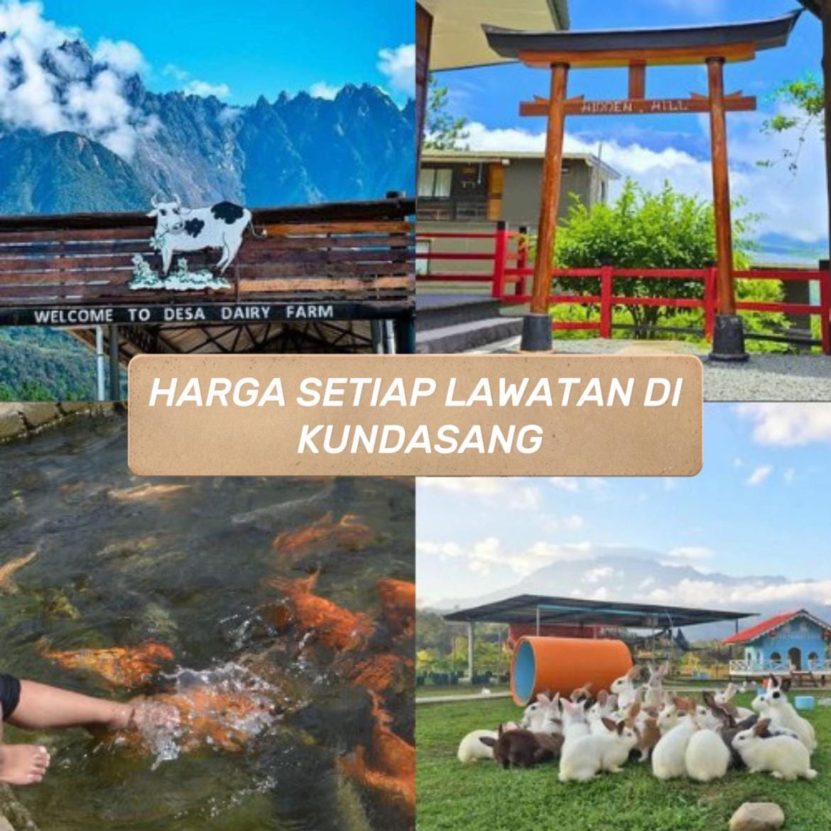 Post 8 by KCARTRAVEL on TikTok (video)