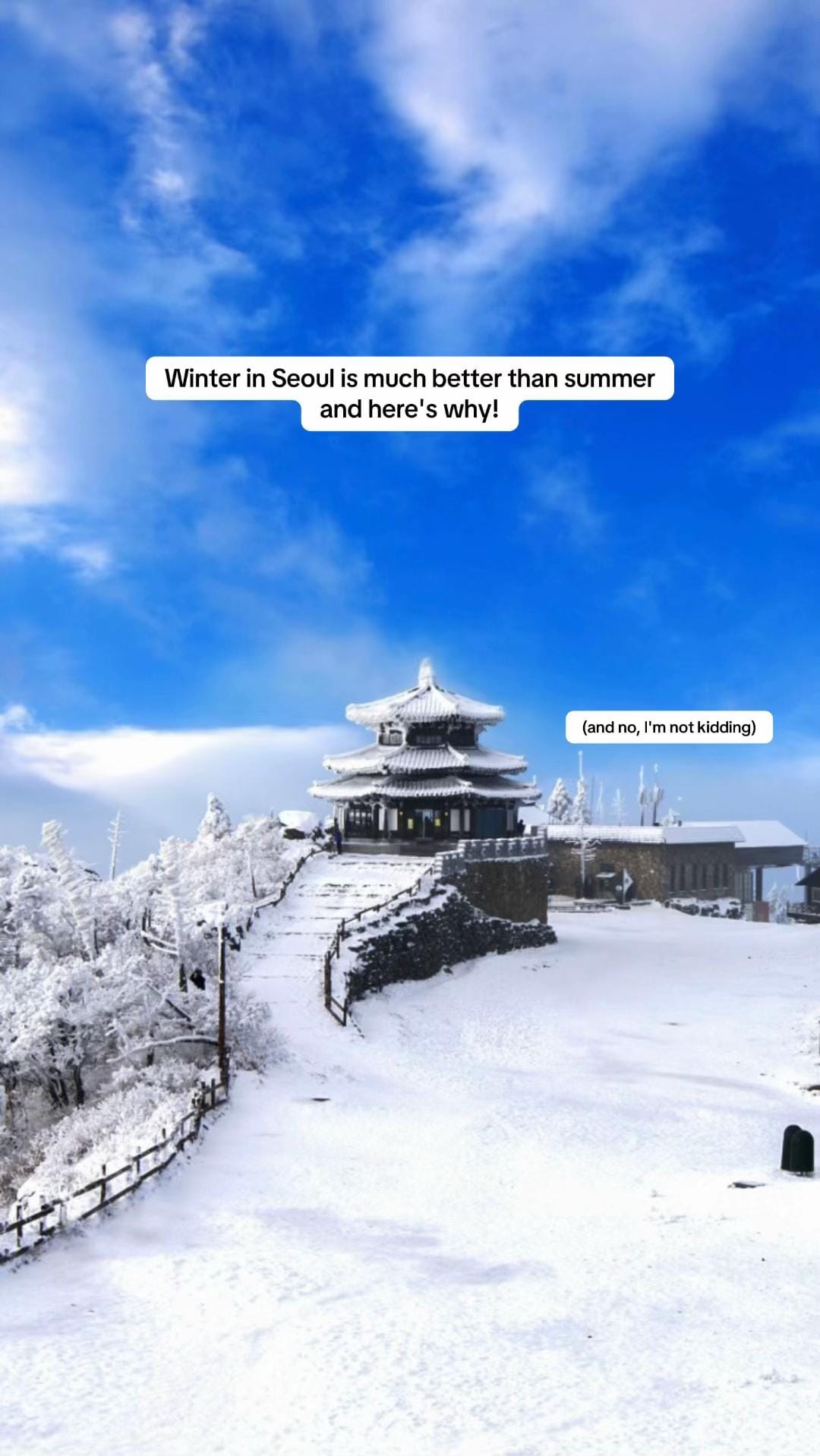 Post 2 by Seoul on TikTok (video)