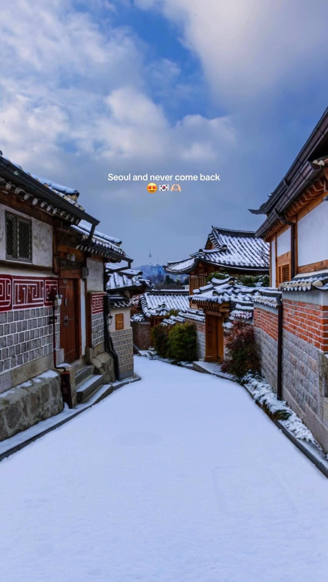 Post 3 by Seoul on TikTok (video)