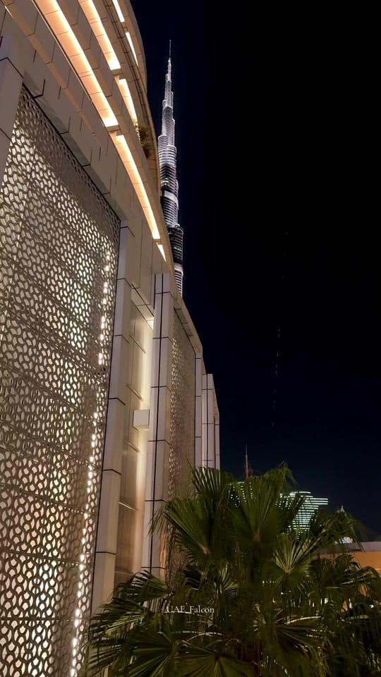 Post 3 by UAE_Falcon on TikTok (video)