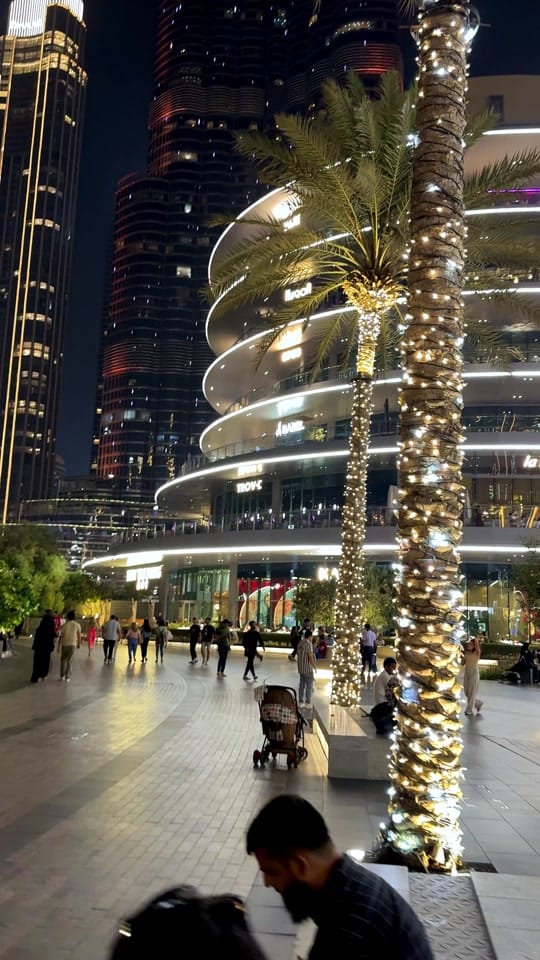 Post 8 by UAE_Falcon on TikTok (video)