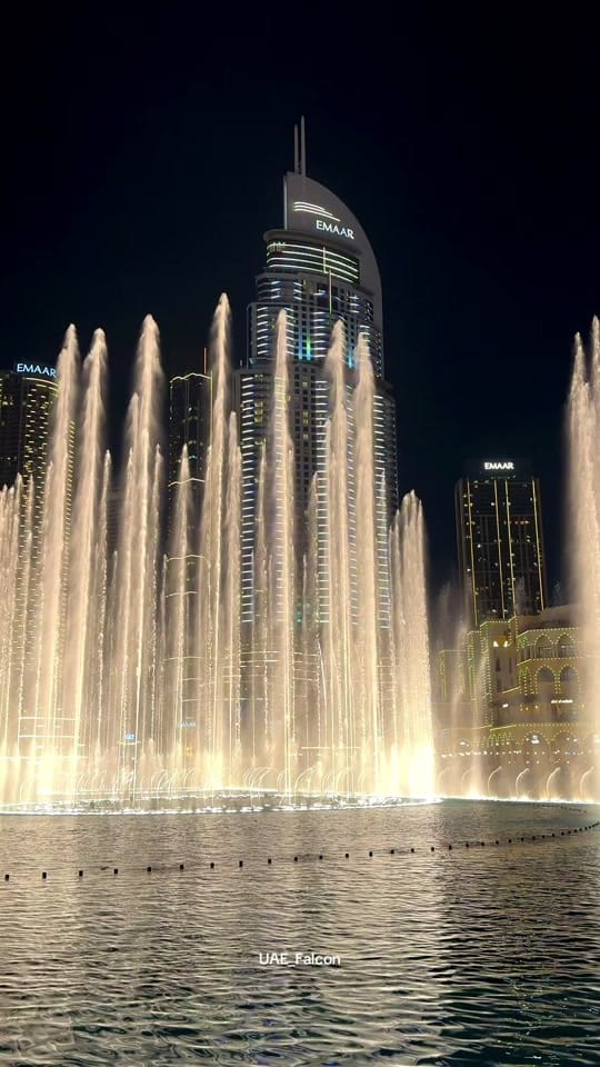 Post 4 by UAE_Falcon on TikTok (video)