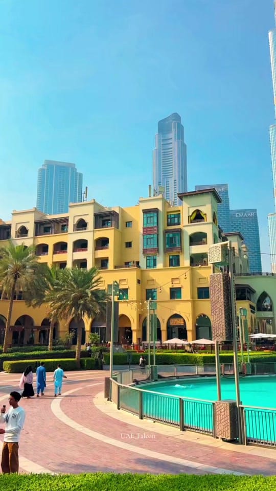 Post 7 by UAE_Falcon on TikTok (video)