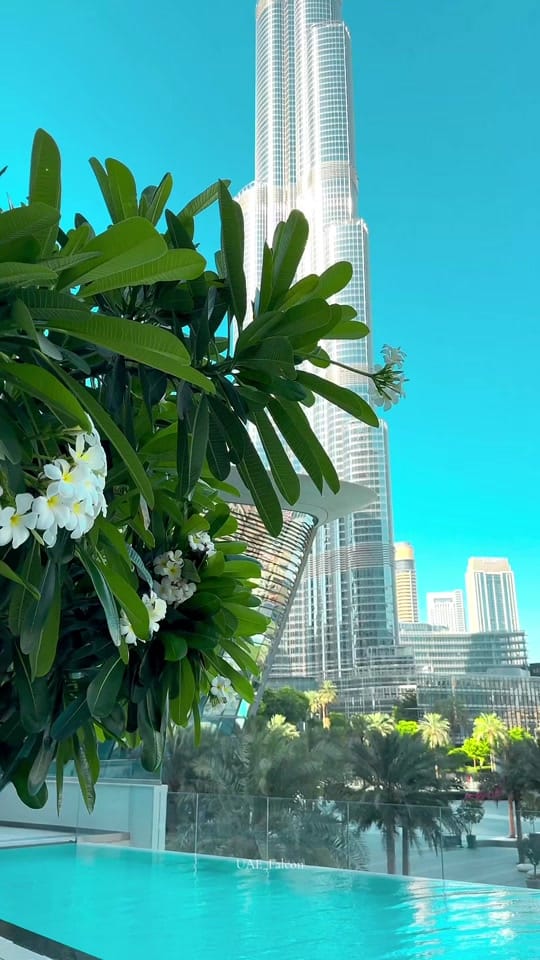 Post 6 by UAE_Falcon on TikTok (video)