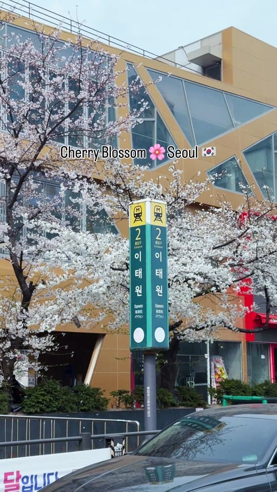 Post 9 by 🇰🇷 Korealife with Jan 😎 on TikTok (video)