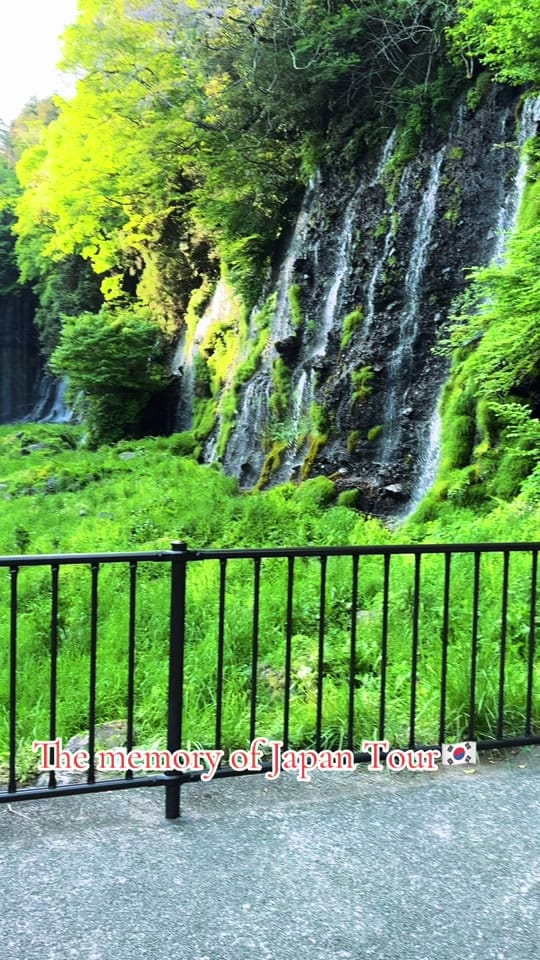 Post 1 by Shahed Ahmed on TikTok (video)