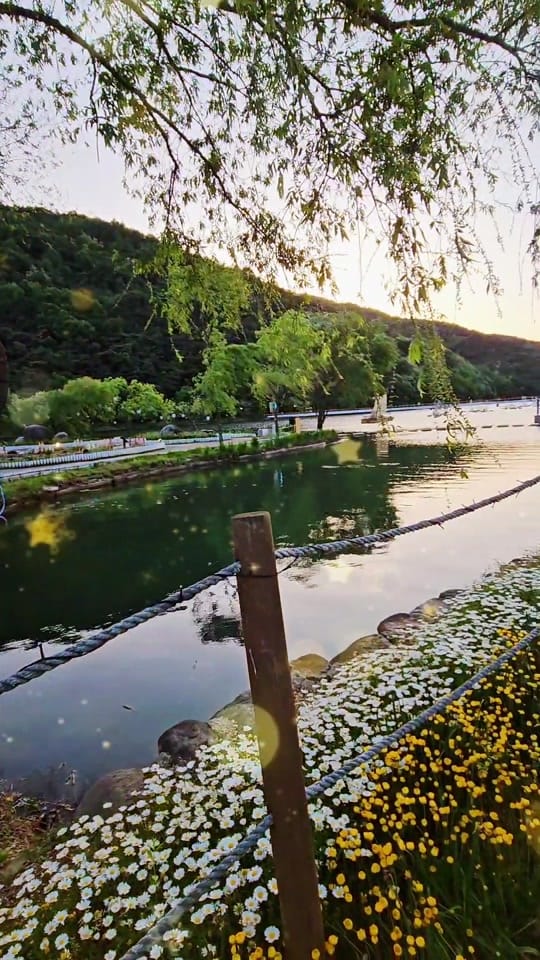 Post 7 by Shahed Ahmed on TikTok (video)