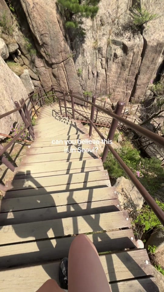 Post 8 by ✩⋆Holly⋆✧ on TikTok (video)