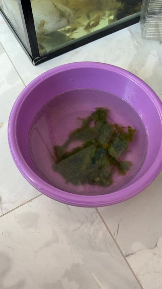 Post 4 by Erman Inan on TikTok (video)