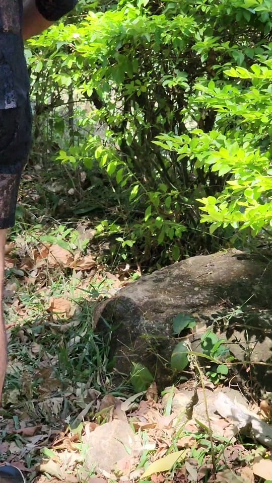 Post 10 by Abdul on TikTok (video)