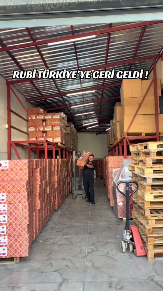 Post 1 by RemziilHAN on TikTok (video)