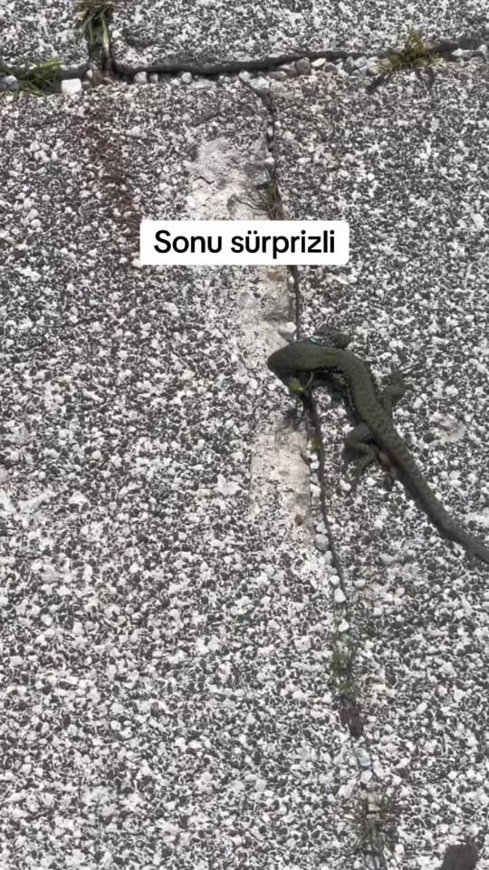 Post 1 by Çiğdem Batur on TikTok (video)