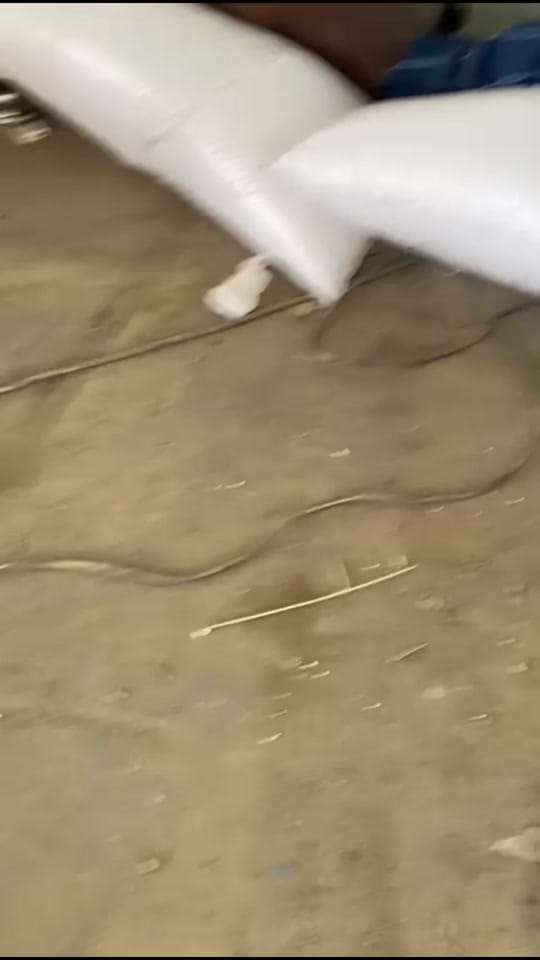 Post 8 by 1234Lincolngh on TikTok (video)