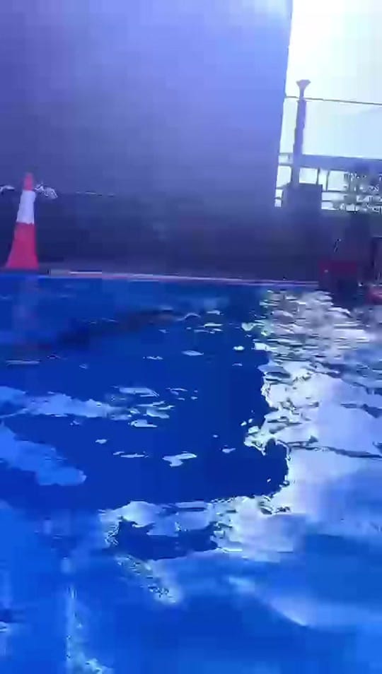 Post 3 by 1234Lincolngh on TikTok (video)